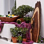 Rustic Bread Boards…