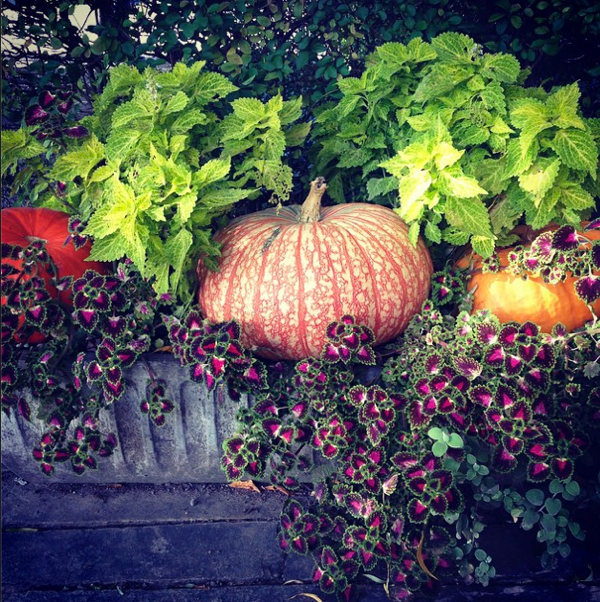 Fall Styling at the Little Inn of Bayfield… CynthiaWeber.com