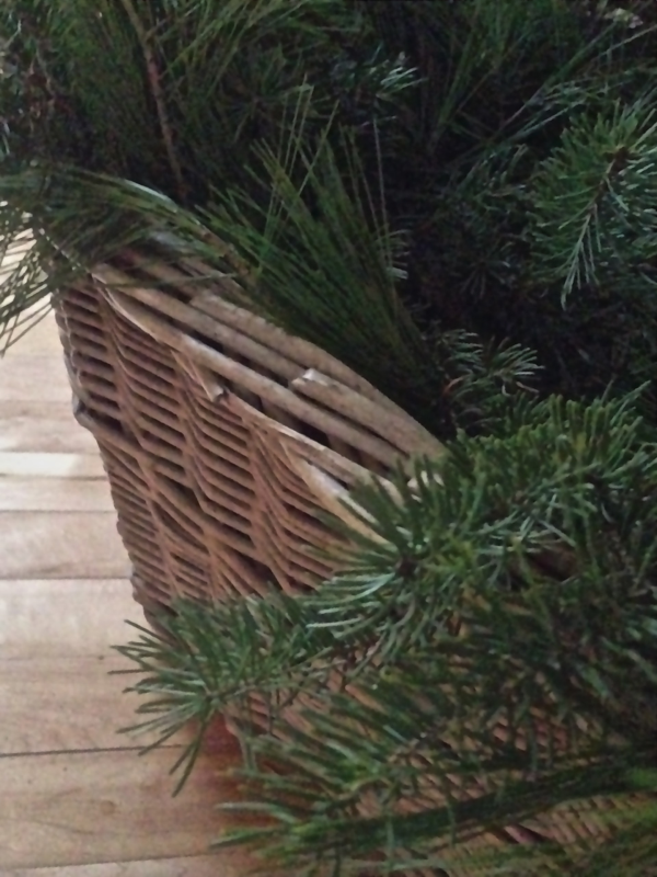 Simple greens in antique baskets for Holiday decorating… Cynthiaweber.com