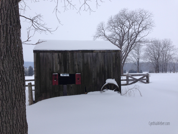 The little shed… CynthiaWeber.com