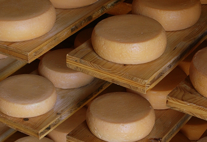 shelves_of_cheese