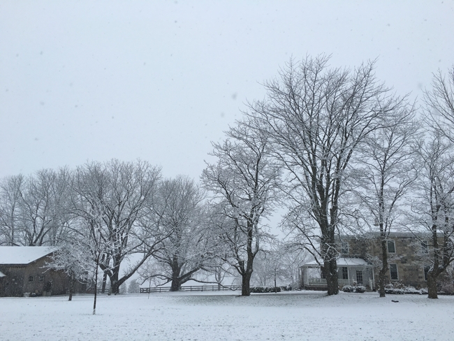 Winter at BannockBurn 1878...