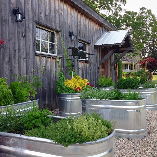 Water trough Herb Garden