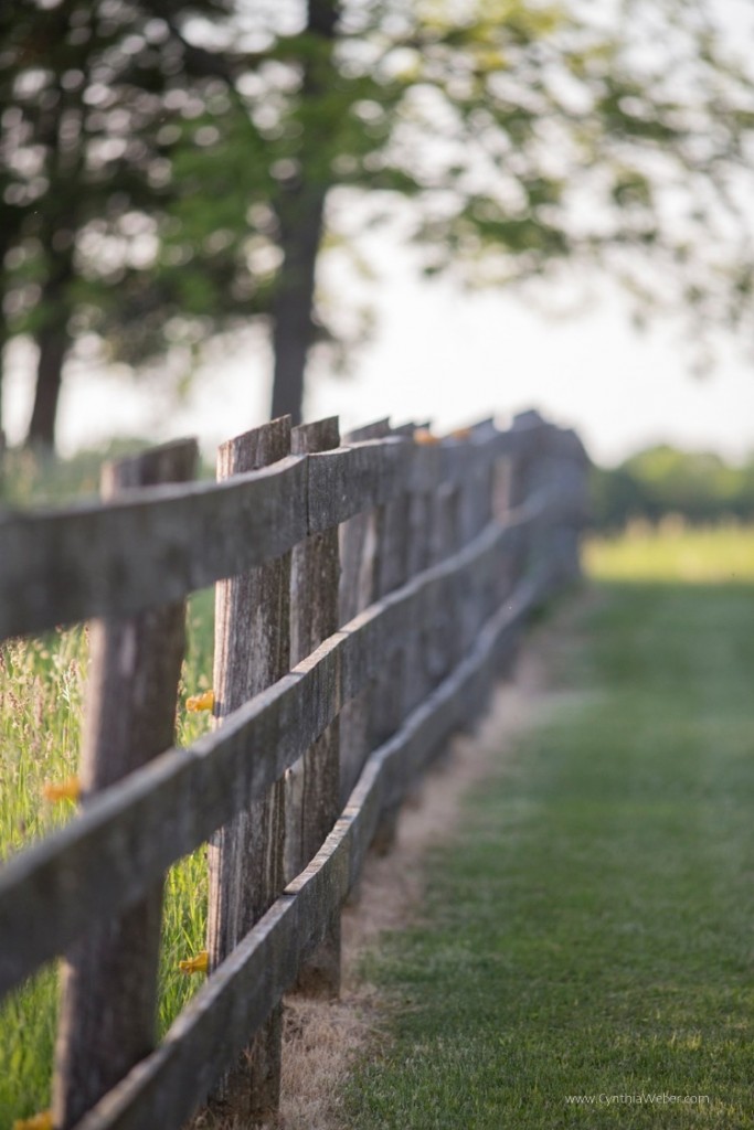 Pasture fence at BannockBurn 1878...