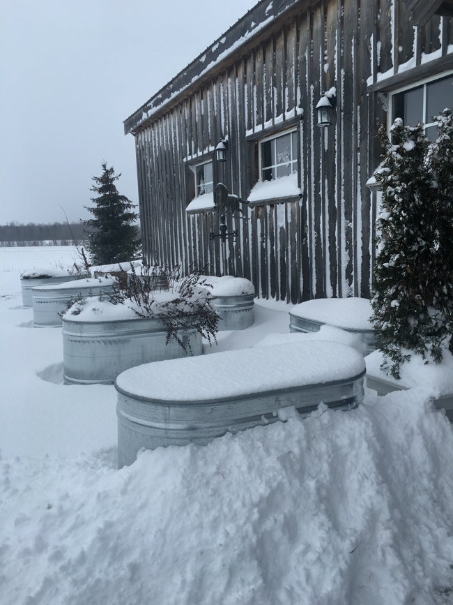 The Herb Garden in Winter...