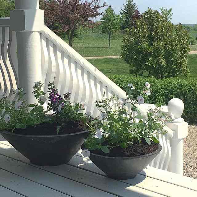 Adding annuals to the porch styling...